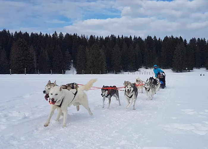 Lejlighed Vent_du_nord Tramelan